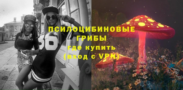 стафф Бронницы