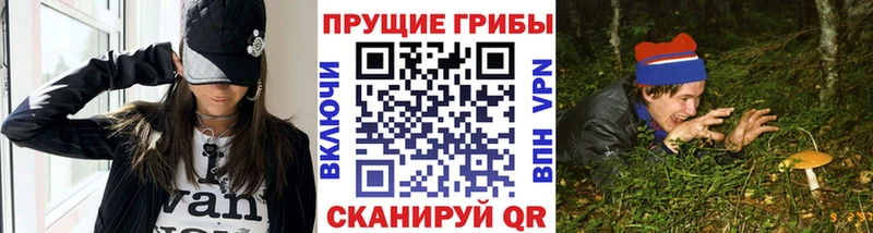 Галлюциногенные грибы Psilocybine cubensis  mega зеркало  Козельск  закладки 